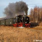 Winterdampf bei der Mansfelder Bergwerksbahn 2