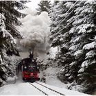 Winterdampf im Erzgebirge XIX