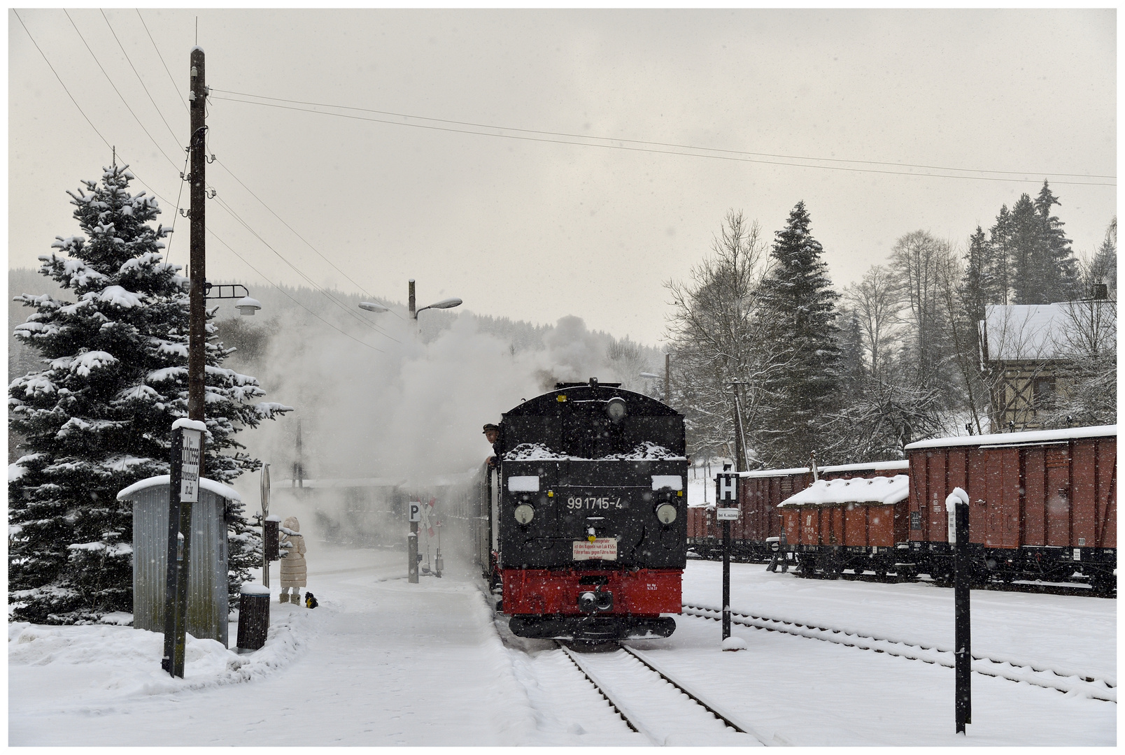 Winterdampf im Erzgebirge XVI