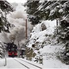 Winterdampf im Erzgebirge XVIII