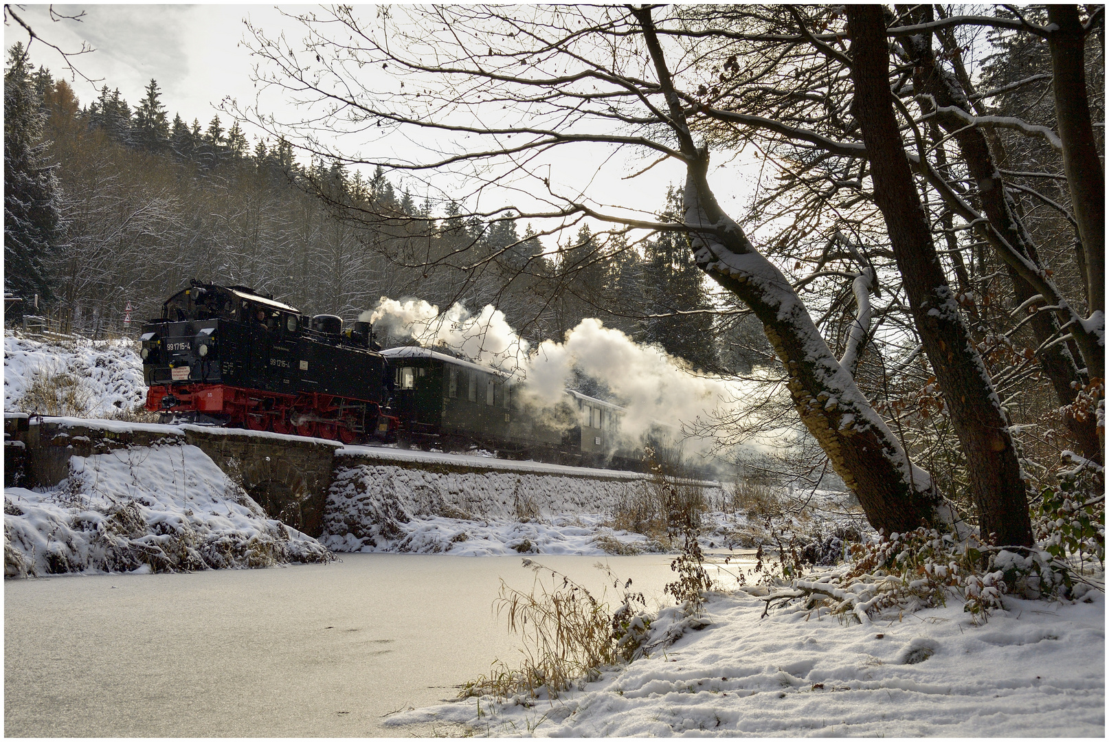 Winterdampf im Erzgebirge XXIII