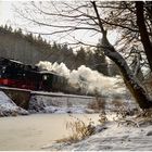 Winterdampf im Erzgebirge XXIII