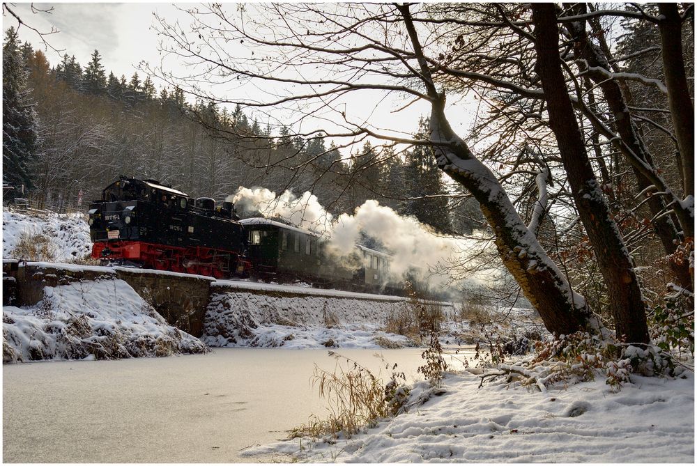 Winterdampf im Erzgebirge XXIII