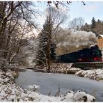 Winterdampf im Erzgebirge XXIV