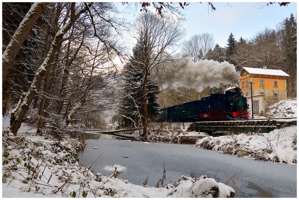 Winterdampf im Erzgebirge XXIV