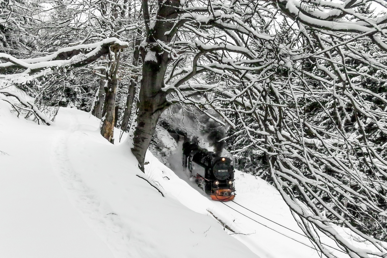 Winterdampf im Harz ...