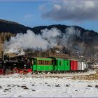 Winterdampf im Lungau I