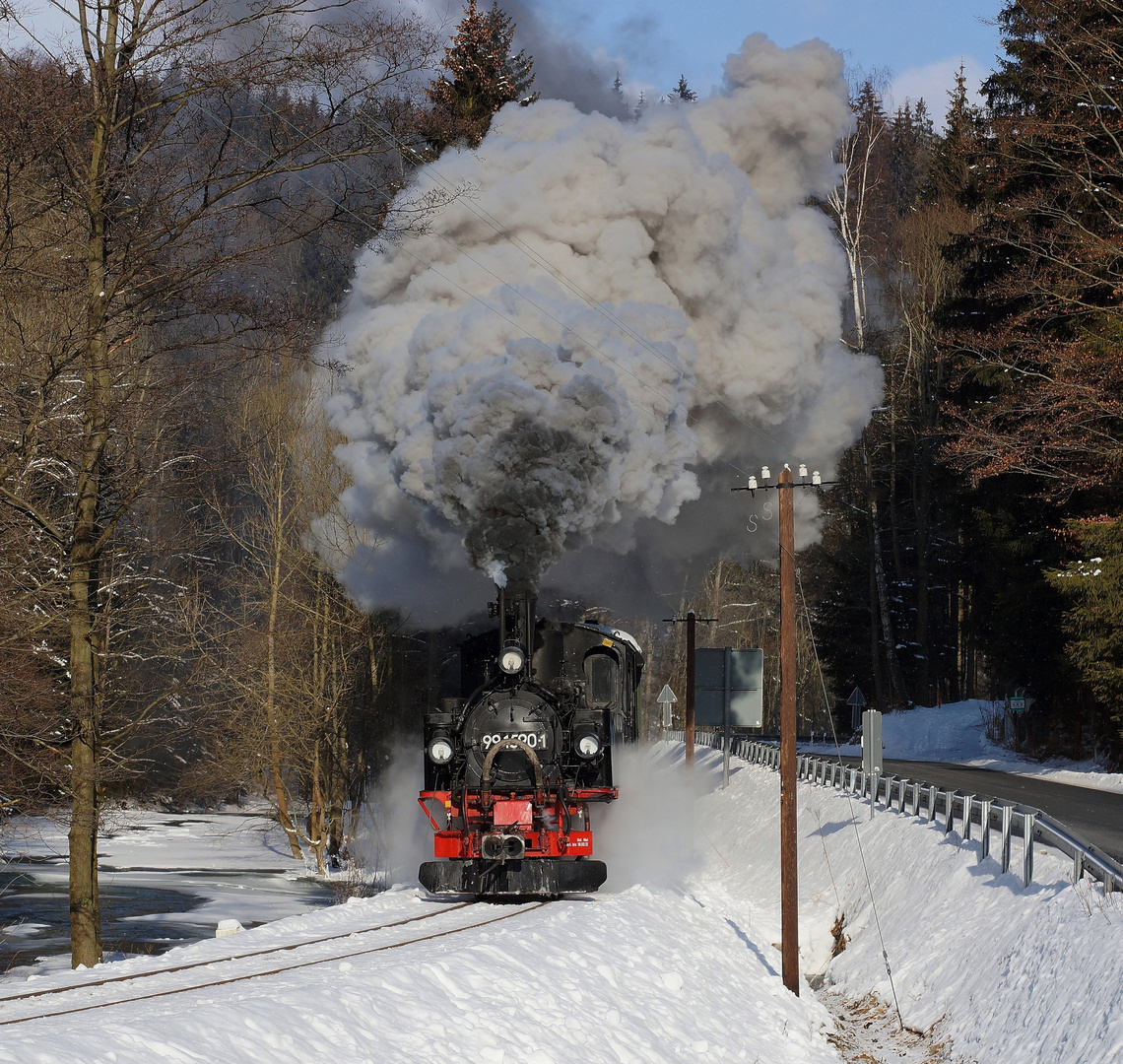 Winterdampf im Preßnitztal