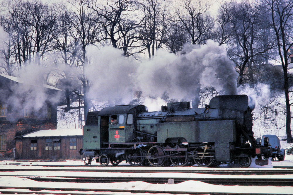 Winterdampf in Polen