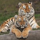 Winterdauerkarten jetzt neu bei Hagenbeck 