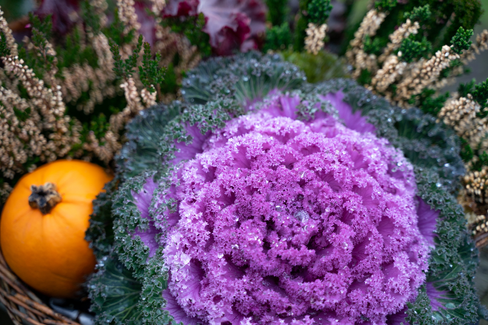 Winterdekoration im Garten