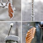 Winterdetail