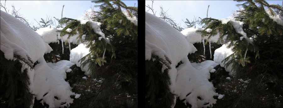 Winterdetail in Stereo