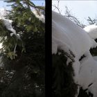 Winterdetail in Stereo