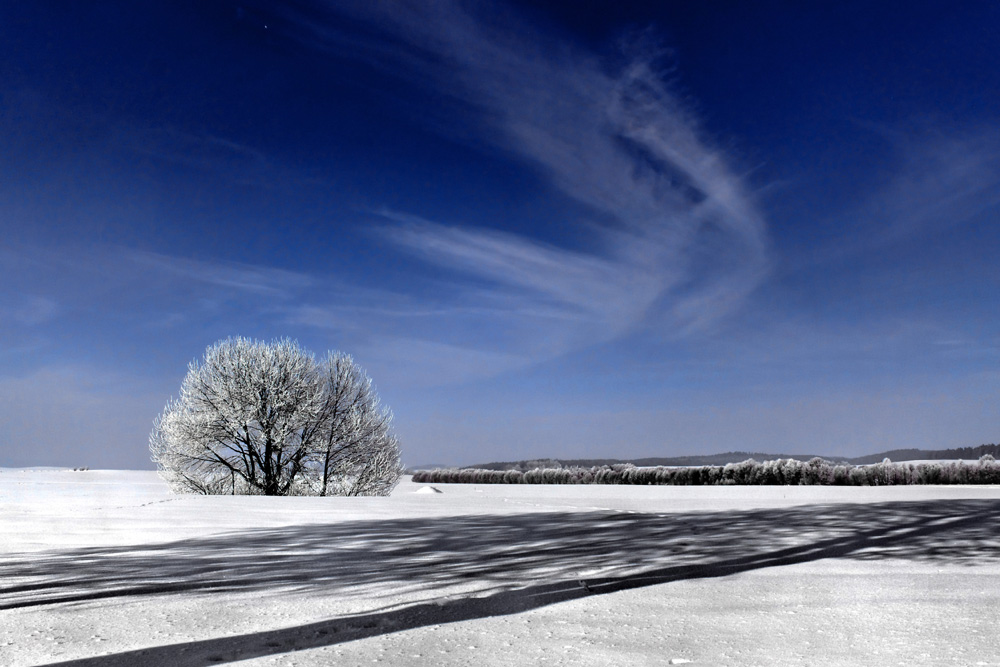 winterdienst