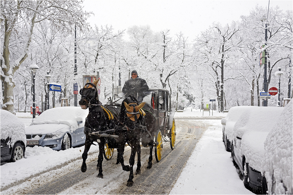 Winterdienst