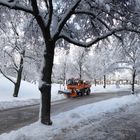 Winterdienst in München