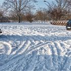 Winterdienst in Schönebeck