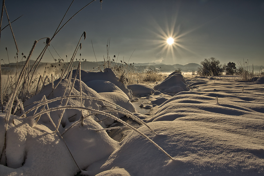 winterdream