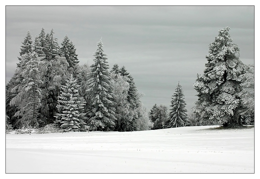 "Winterdream" von  Ralf Greiner