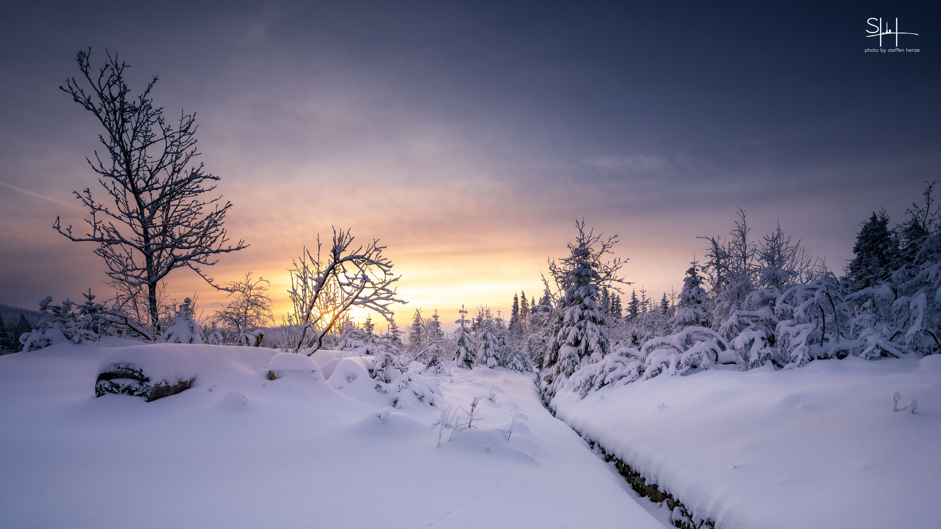 Winterdream Harz , kleine Tour am Oderteich .