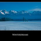 | Winterdreams |