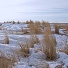 Winterdüne