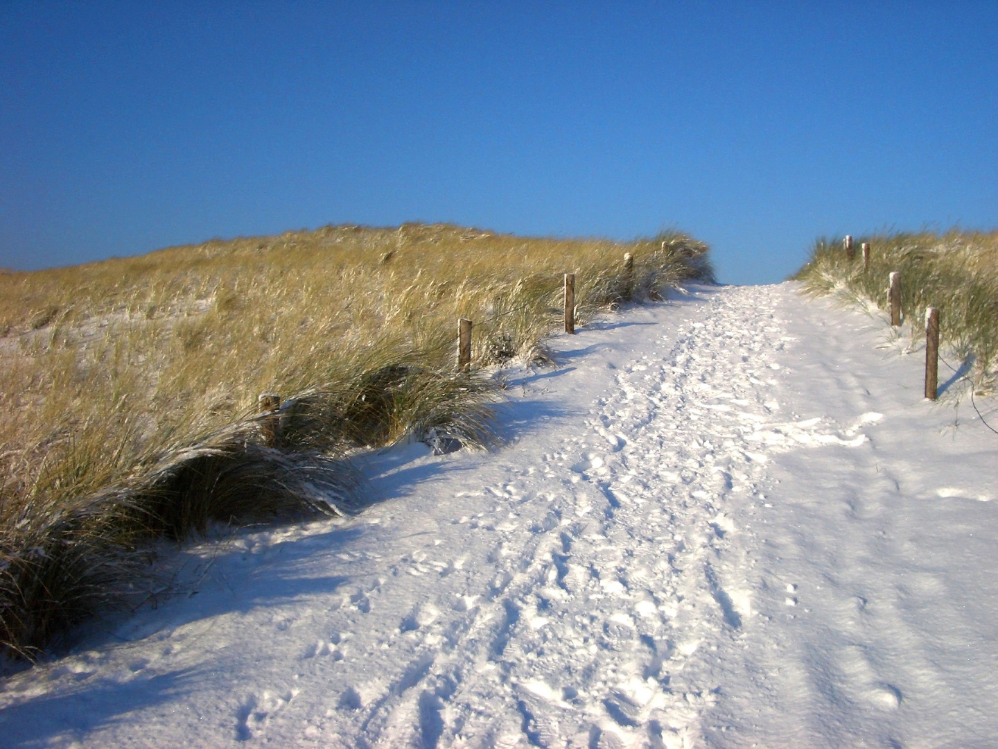 Winterdüne