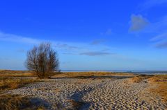 Winterdünen...