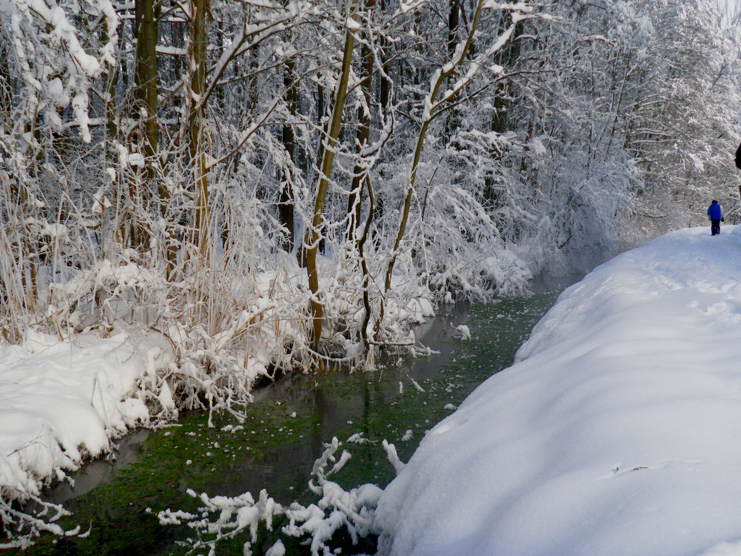 Wintereinbruch