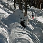 Wintereinbruch 1 - Aufstieg im Wald