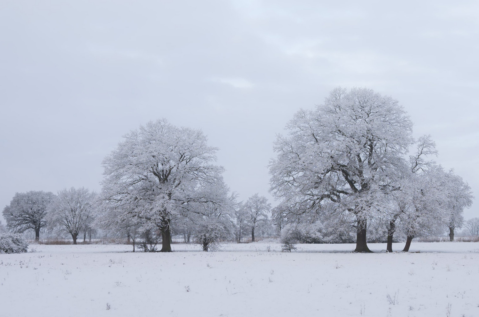 Wintereinbruch 1