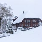 Wintereinbruch