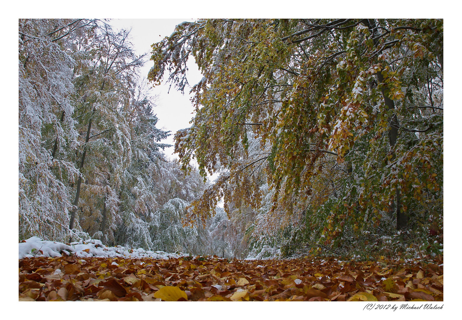 Wintereinbruch