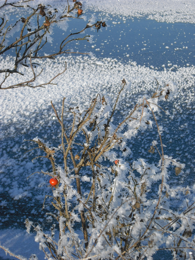 Wintereinbruch