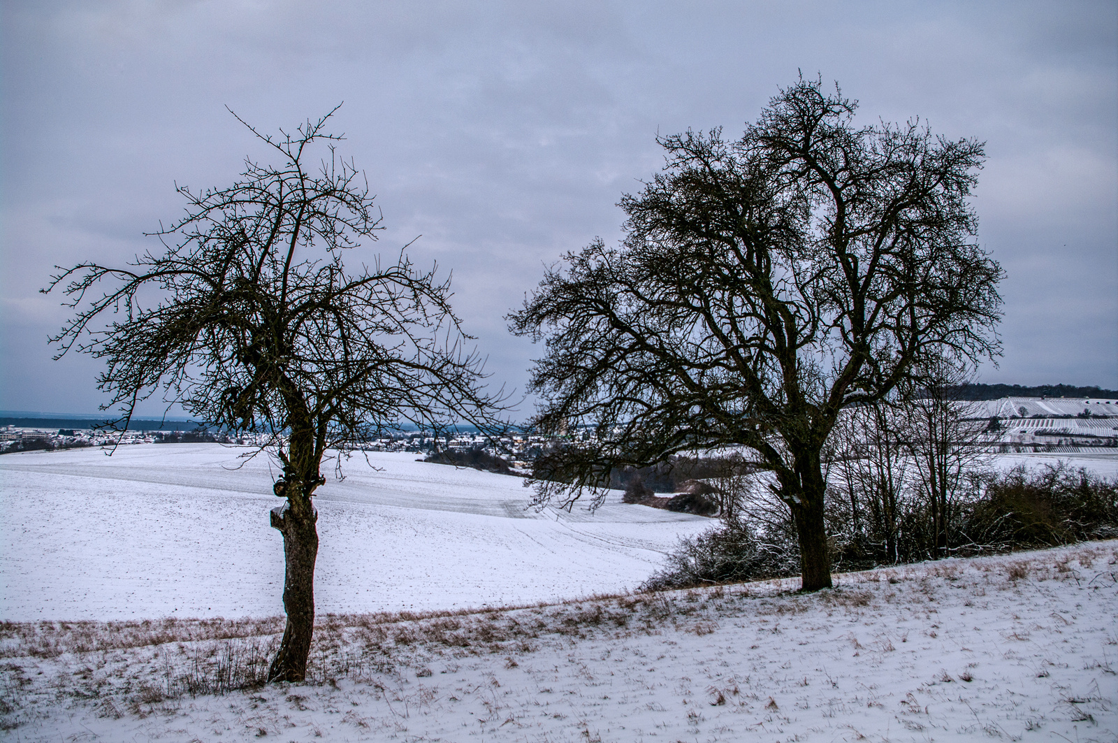 Wintereinbruch