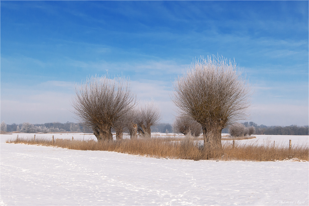 Wintereinbruch...