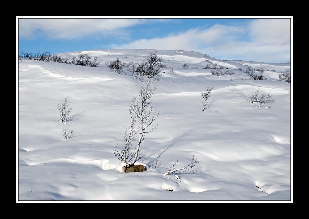 Wintereinbruch (2)