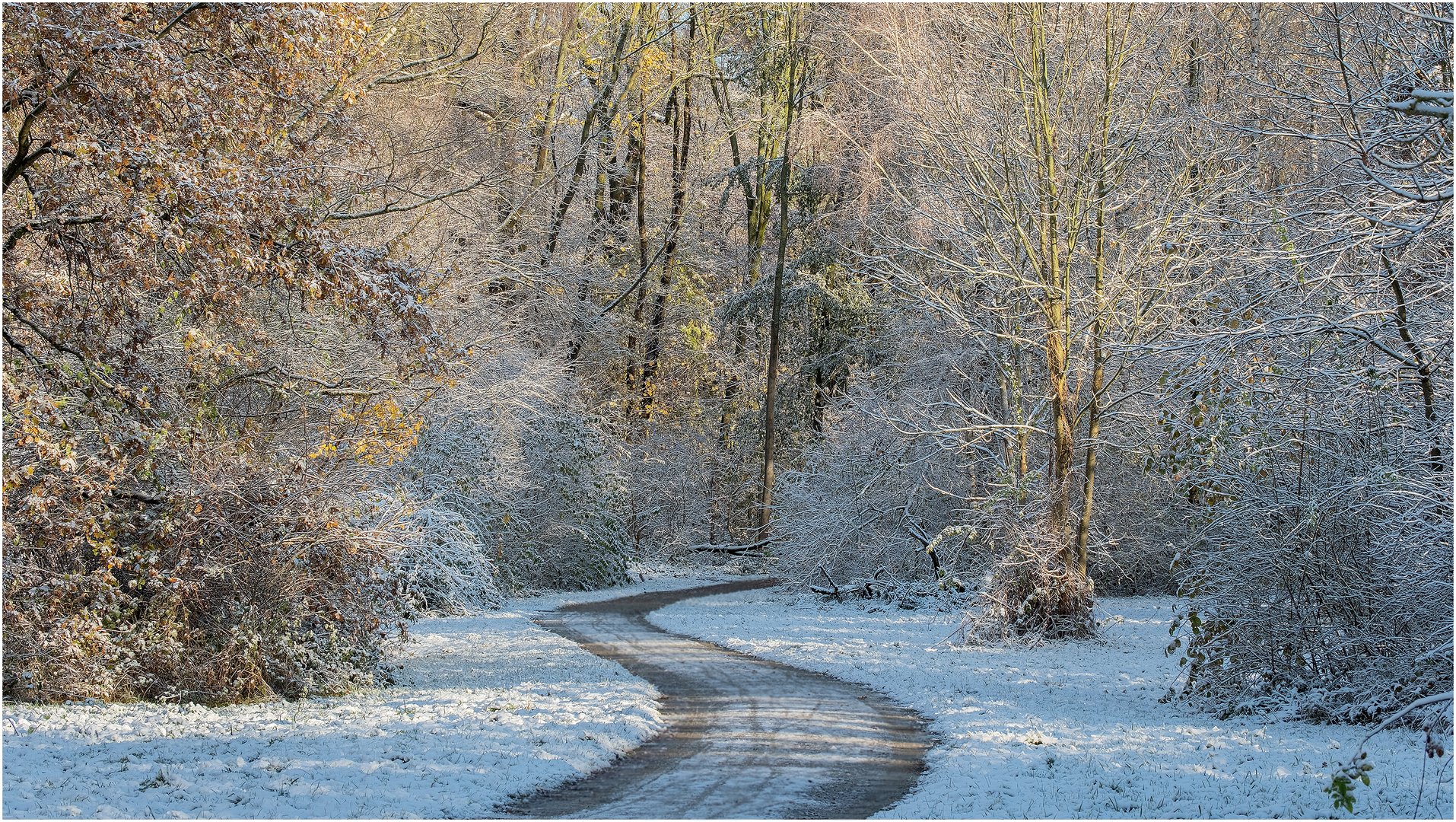 Wintereinbruch