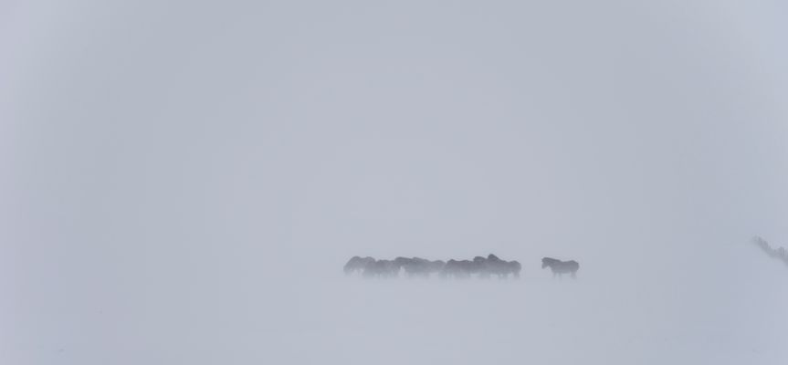 ~~ wintereinbruch ~~