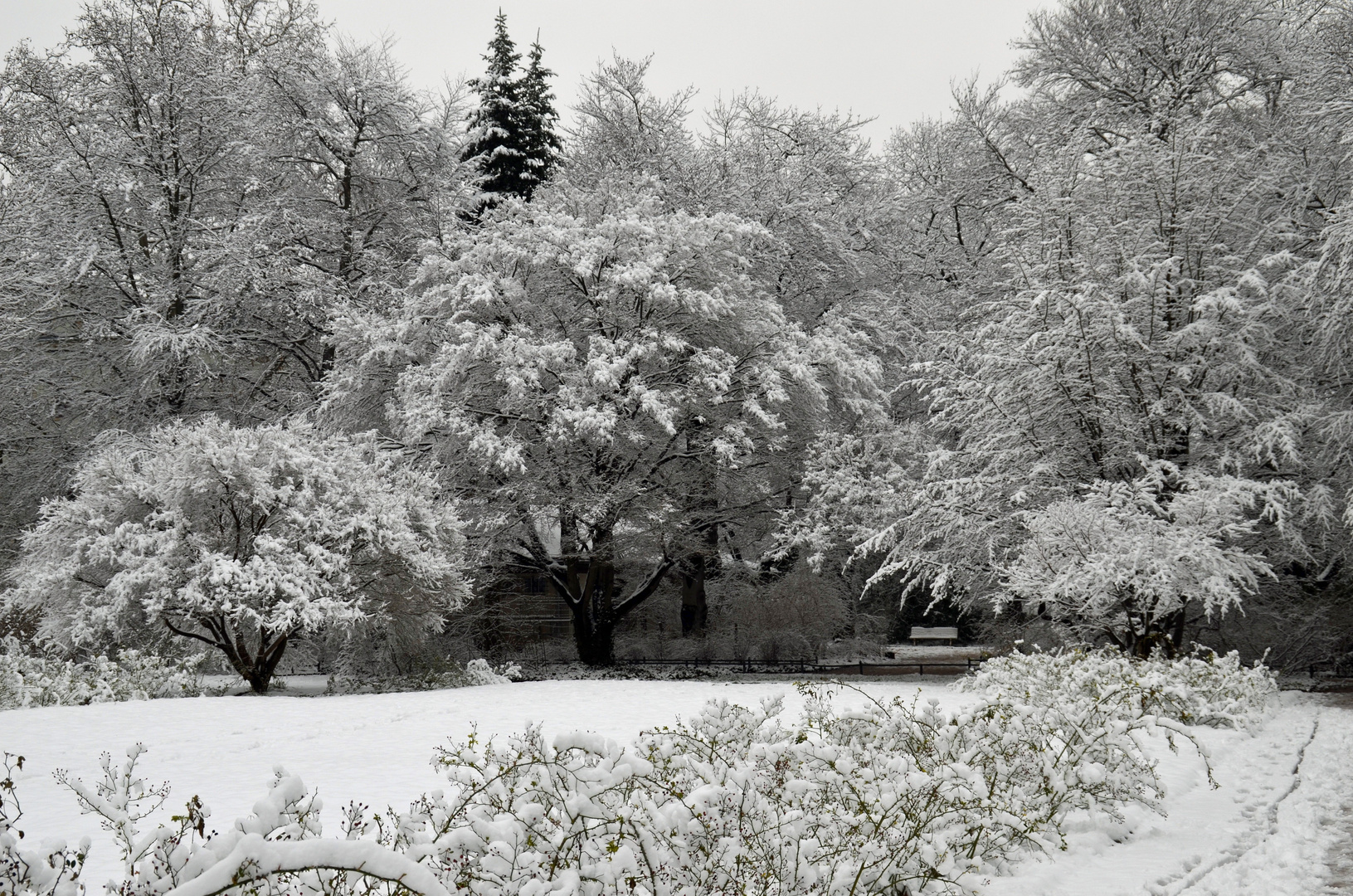 Wintereinbruch (3)