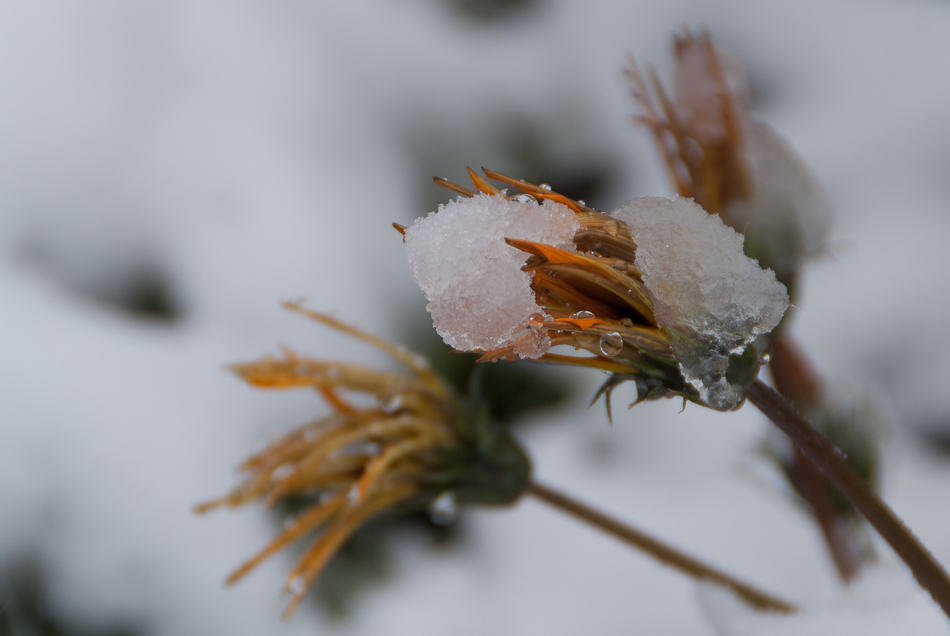 Wintereinbruch :)