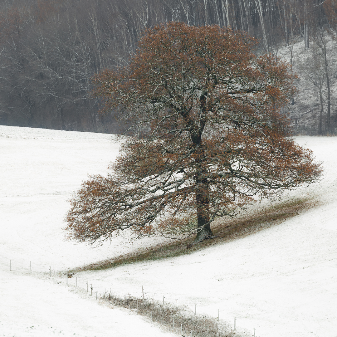 Wintereinbruch