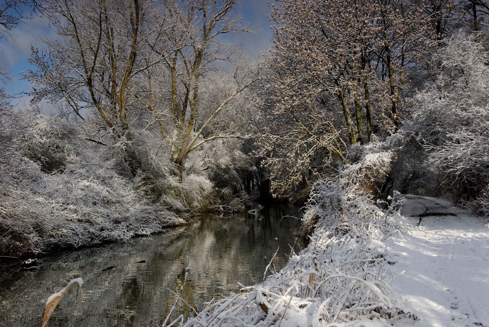 Wintereinbruch