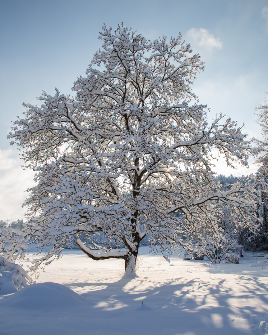 Wintereinbruch 