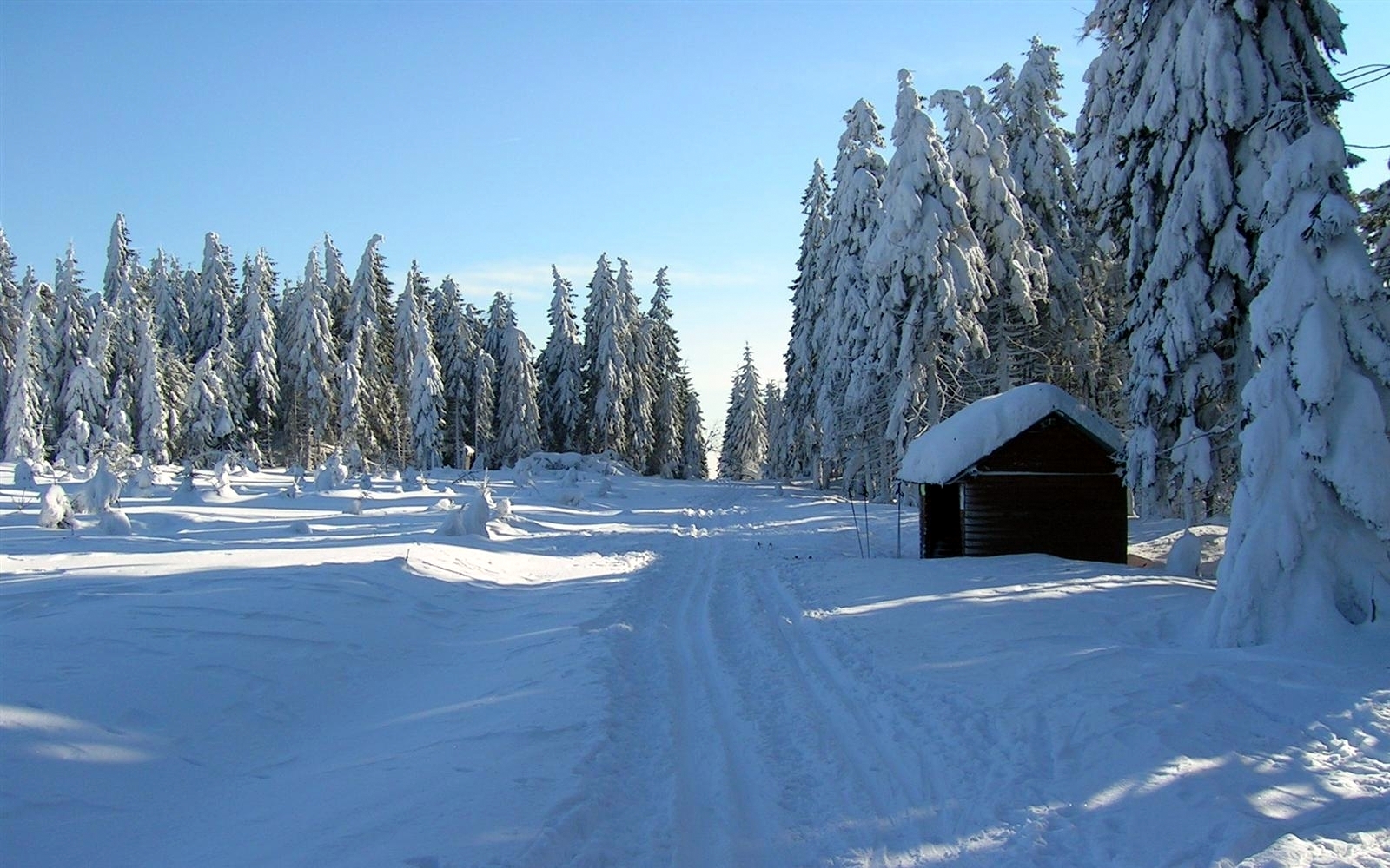 Wintereinbruch