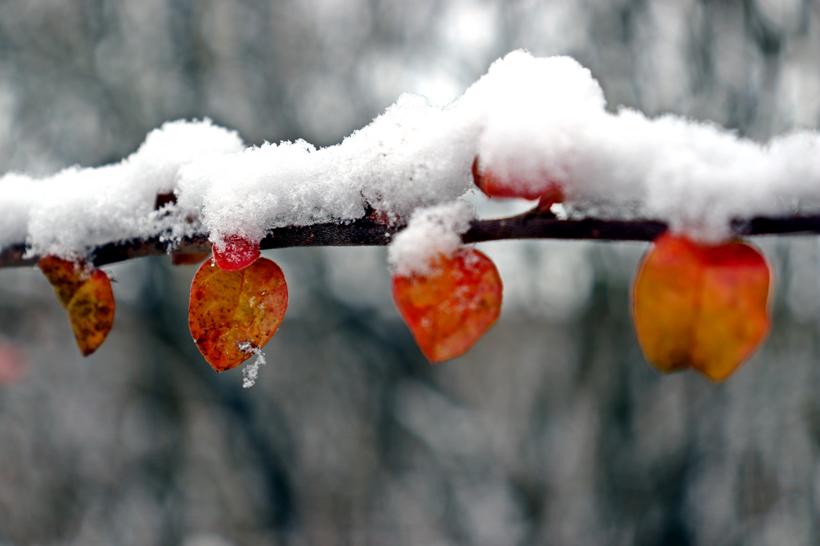 Wintereinbruch