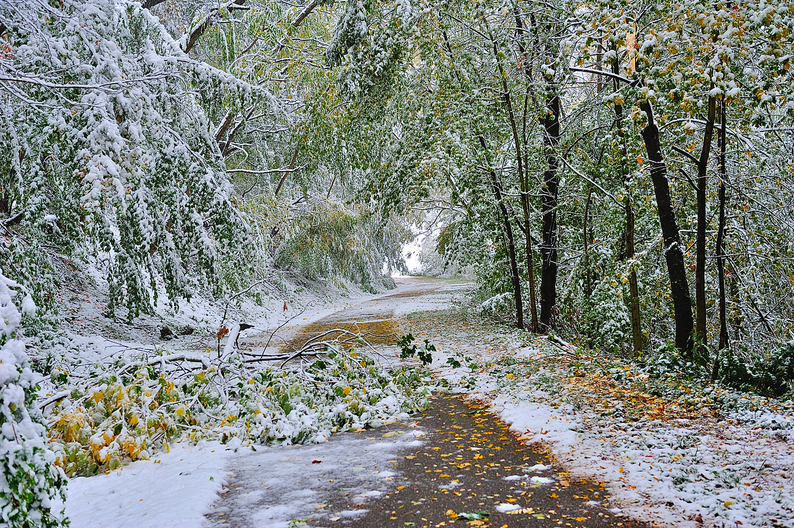 Wintereinbruch