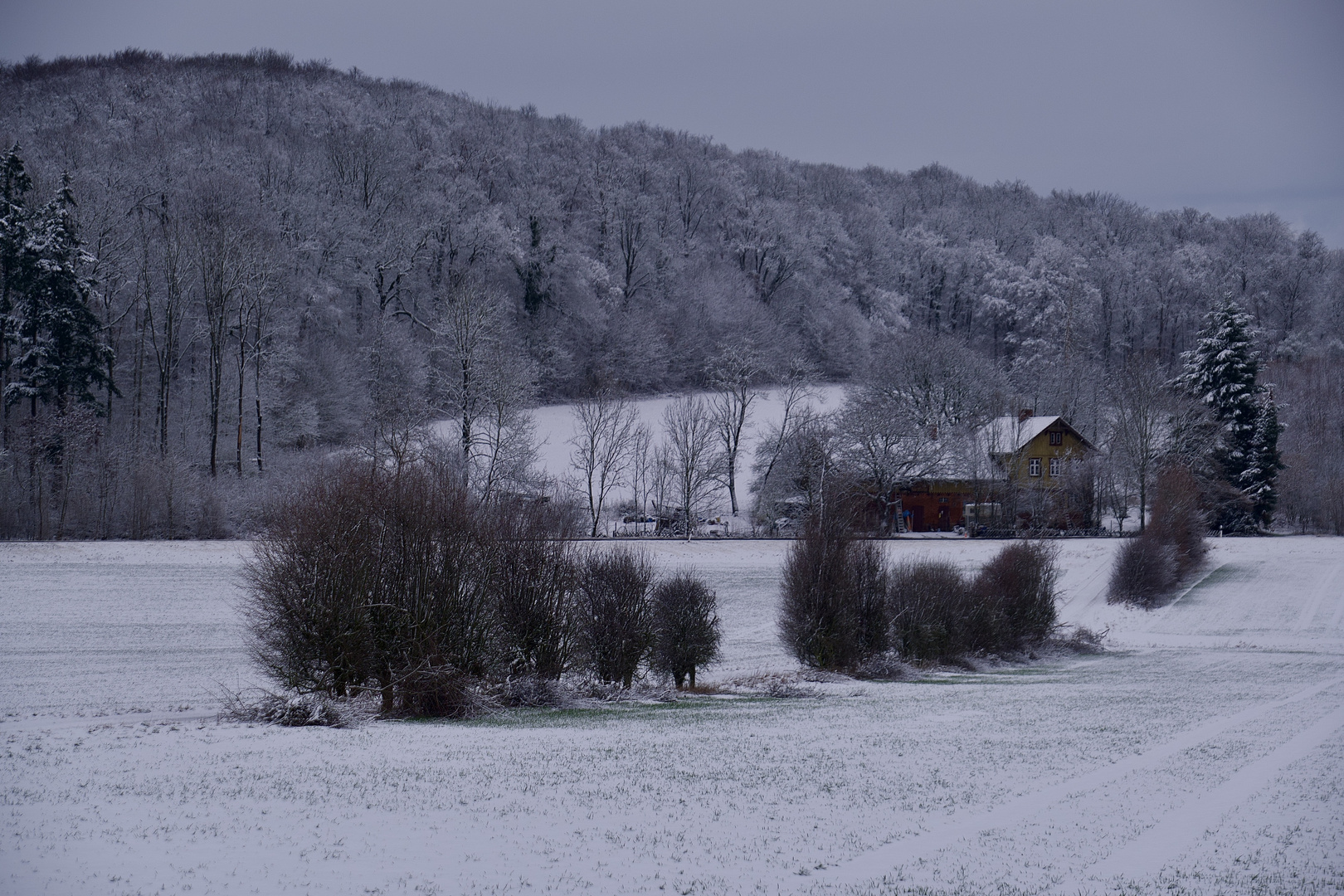 Wintereinbruch 