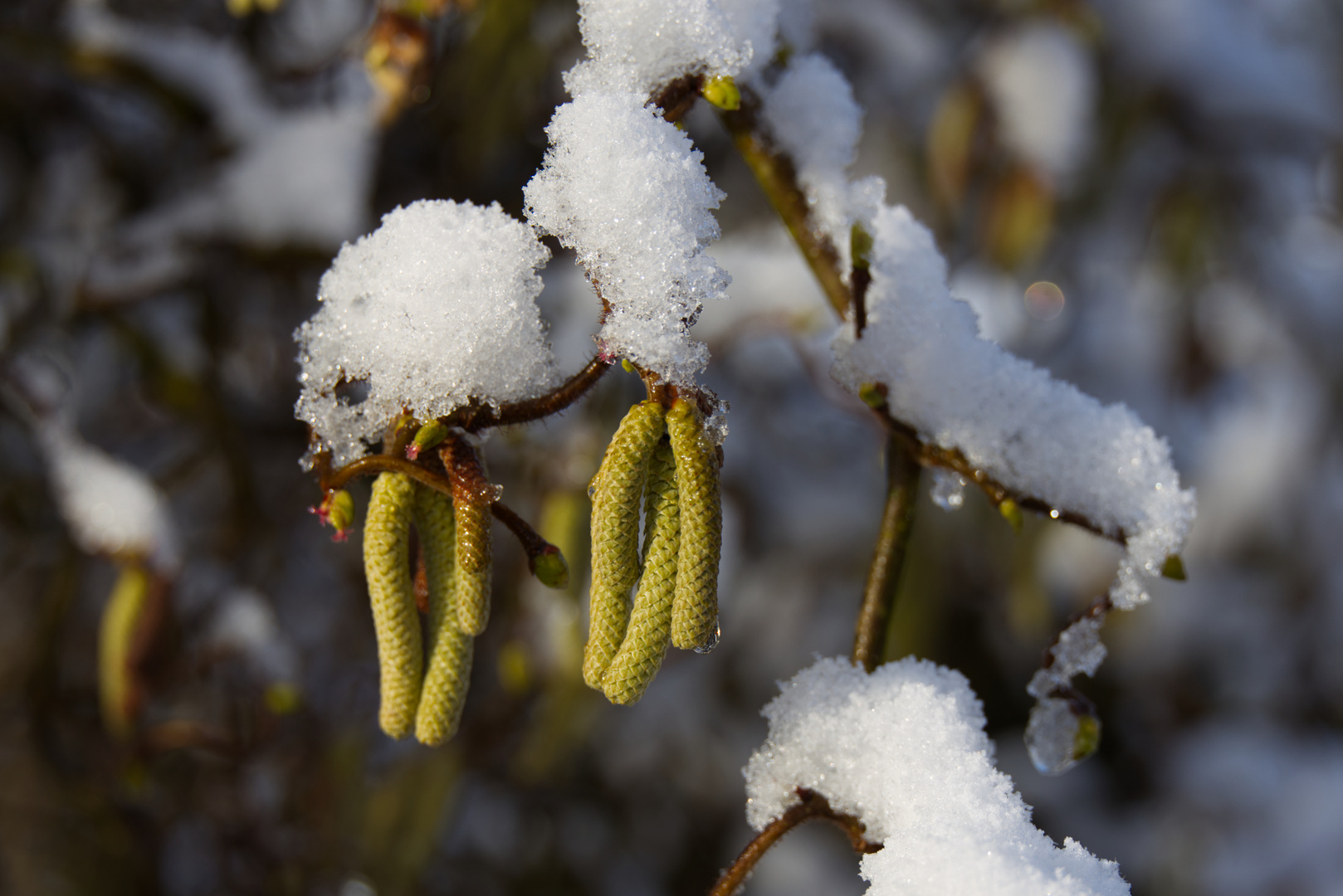 Wintereinbruch